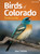 Birds of Colorado Field Guide (Miniature Edition) by Stan Tekiela, 9781647550820
