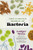 The Curious World of Bacteria by Ludger Wess, Jamie McIntosh, 9781771648257