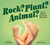 Rock? Plant? Animal? (How Nature Keeps Us Guessing) by Etta Kaner, Brittany Lane, 9781771474443
