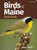 Birds of Maine Field Guide (Miniature Edition) by Stan Tekiela, 9781647553685