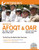 Master the™ Air Force Officer Qualifying Test (AFOQT) & Officer Aptitude Rating Exam (OAR) by Peterson's, 9780768945775