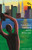 The Discus Thrower Meets Peter Pan (Two New York City Icons Join Forces for Survival (A Fantasy Adventure Chapter Book)) by Pinky Keehner, Cathy Oerter, 9780789214997