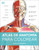 Atlas de anatomia para colorear (The Human Body Coloring Book) (Guia de estudio) (Spanish Edition) by DK, 9780593848098