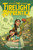 The Firelight Apprentice (A Graphic Novel) by Bree Paulsen, Bree Paulsen, 9780063266599