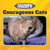 Courageous Cats by Joyce Markovics, 9781668946855