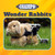 Wonder Rabbits - 9781668948255 by Joyce Markovics, 9781668948255