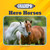 Hero Horses - 9781668948262 by Joyce Markovics, 9781668948262