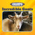 Incredible Goats - 9781668948279 by Joyce Markovics, 9781668948279