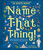 Name That Thing! (Stretch Your Brain Power with 20 Picture Quizzes) by Gareth Moore, Ryan O'Rourke, 9781419773471