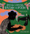 Dream a Dress, Dream a Poem (Dressmaker and Poet, Myra Viola Wilds (A Picture Book)) by Nancy Johnson James, Diana Ejaita, 9781951836535