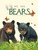 We Are Bears by Molly Grooms, 9781960107404
