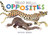 Hello Hello Opposites by Brendan Wenzel, 9781797219981