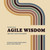 The little book of Agile Wisdom (Agile culture mastered and manifested) by Anton Podokschik, Jérôme Grimm, 9789063696986