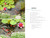 How Plants Work (The Science Behind the Amazing Things Plants Do) by Linda Chalker-Scott, 9781604693386
