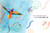 Chinese Kite Festival - 9780823458622 by Richard Lo