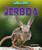 Jerboa by Rachel Rose, 9798892324991