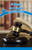 A Day in Court (Understanding Government) by Sheri Lang, 9781538364420