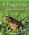 A Frog's Life (Learning Sequential Order Using a Timeline) - 9780823976379 by Patricia J. Murphy