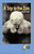 A Trip to the Zoo by Deborah Chilek, 9780823982028
