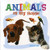 Animals in My House by Kristin Eck, 9781404227019
