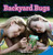 Backyard Bugs (Understand and Apply Properties of Operations) by Michael Bristow, 9781477721186