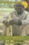 Batswana by Chudi Uwazurke, 9780823920082