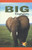 Big Elephants (Journeys) by Shelby Braidich, 9781404254091