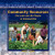 Community Resources - 9781404250161 by Angela Catalano, 9781404250161