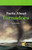 Facts About Tornadoes (Journeys) by Carrie Stuart, 9781404258396