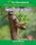 From Seed to Seed: The Mighty Oak Tree by Margaret Williamson, 9781684049004
