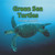 Green Sea Turtles - 9781404255722 by Christopher Blomquist, 9781404255722