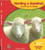 Herding a Hundred: Counting the Sheep by Donna Loughran, 9781599535470