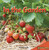 In the Garden - 9781448889440 by Patricia Castle, 9781448889440