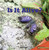 Is It Alive? by Paul Gerber, 9781448889655