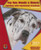 Ivy Sue Needs A House: Building with Equivalent Fractions - 9781603574983 by John Perritano, 9781603574983