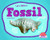Let's Make a Fossil by Katie Chanez, 9781684046218