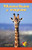 Manchas y rayas (Spots and Stripes) by Autumn Leigh, 9781404224872