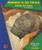 Mummies in the Library: Divide the Pages - 9781603574976 by John Perritano