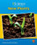 New Plants by Emily Sohn, Erin Ash Sullivan, 9781684043613