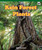 Rain Forest Plants by Mark Numminen, 9781404279506