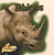 Rhinos - 9780823951444 by Marianne Johnston, 9780823951444
