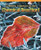 Scientific Inquiry in Action - 9781435801875 by Mary Ann Hoffman, 9781435801875