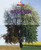 Seasons - 9781684046539 by Mary Lindeen