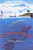 The Missing Manatee (A Mystery About Fishing and Family) by Cynthia DeFelice, 9780374400200
