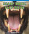 Sharp Teeth, Flat Teeth by Stephanie Hoffman, 9781404279179