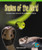 Snakes of the World (Learning to Use Inches and Feet to Measure an Object) by Kerri O'Donnell, 9780823988747