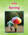 Spring - 9781603577397 by Mary Lindeen, 9781603577397