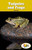 Tadpoles and Frogs - 9781499492552 by Carter Hayn, 9781499492552