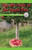 The Life Cycle of an Apple Tree (Over and Over Again) by Gillian Clifton, 9781538352434