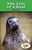The Life of a Seal by Katie Smythe, 9781499492316